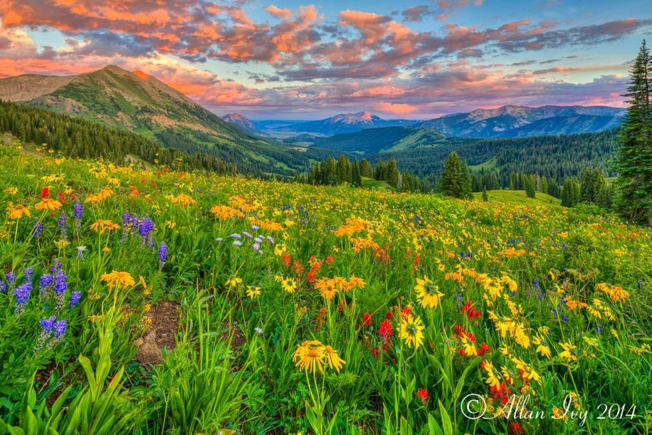 Alpine Inn & Suites Gunnison Esterno foto